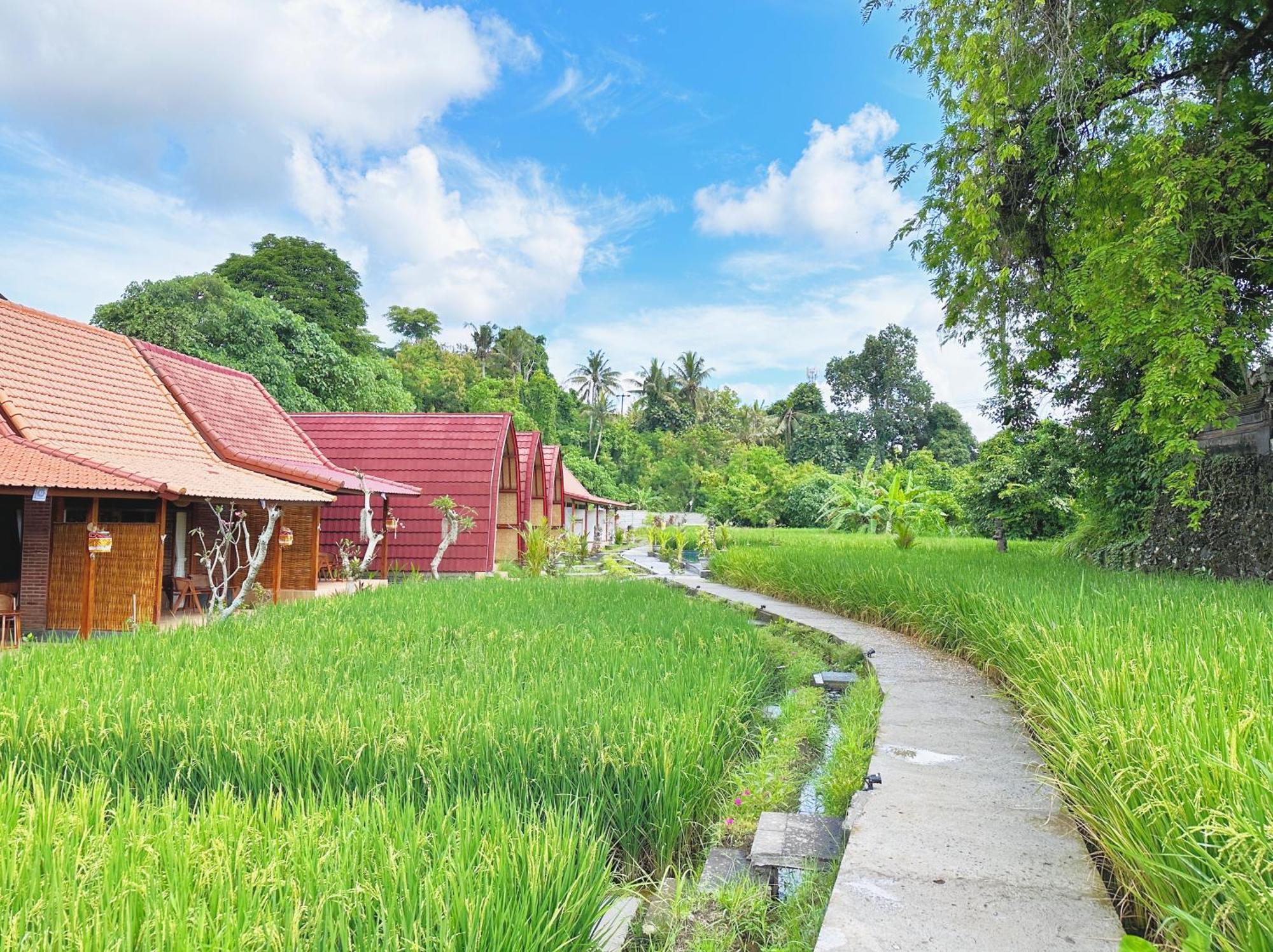 Uma Raos Cottage Ubud  Ngoại thất bức ảnh